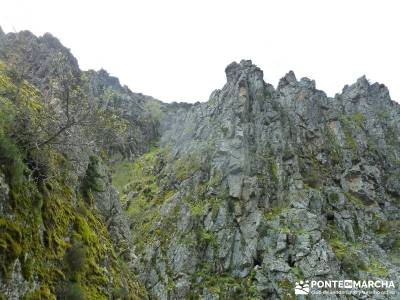 Cascadas Purgatorio,Bosque Finlandia; rutas senderismo sierra de madrid; senderismo sierra madrid